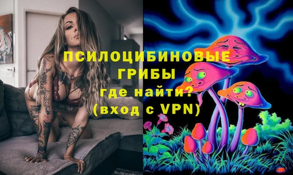 индика Алзамай
