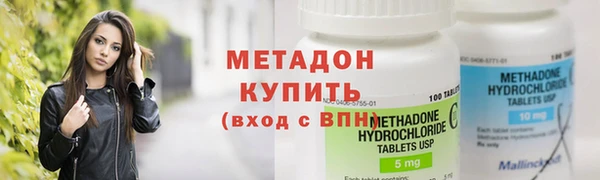 индика Алзамай