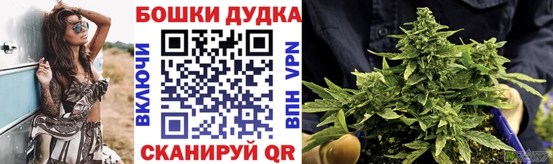 Каннабис OG Kush Чекалин